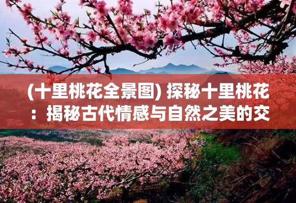 (十里桃花全景图) 探秘十里桃花：揭秘古代情感与自然之美的交融魅力